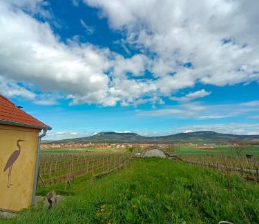Dolni Dunajovice Apartment | Vavřinec