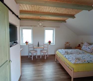 Dolni Dunajovice Apartment | Vavřinec