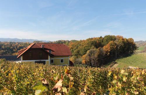 Svecina House | Vdovič Guest House
