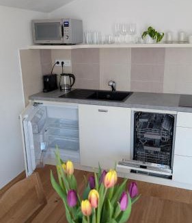 Nove Mesto na Morave Apartment | Vejminek NMNM
