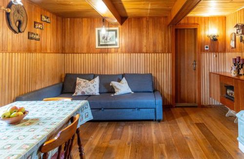 Kamnik Ski Chalet | Velika planina - Chalet Stane - Alps