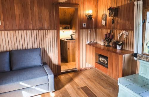 Kamnik Ski Chalet | Velika planina - Chalet Stane - Alps