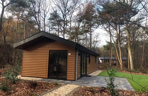 Municipality of Westerveld House | Velthorst Hottub by Interhome