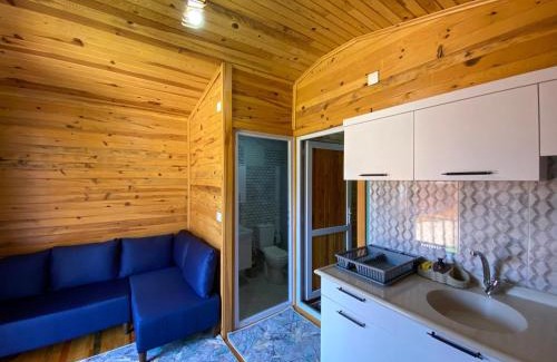 Adrasan Other | Venüs Gold Bungalov Adrasan