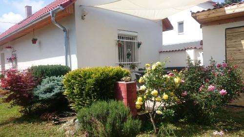 Kethely Apartment | Vendég kuckó