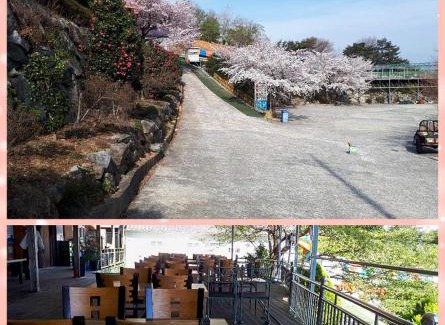 Hadong Other | Venetian Terra KM LAND VTKL 하동 금오산 랜드 숲 캠핑장
