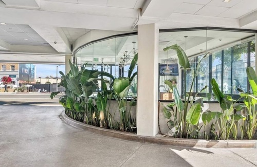 Venice Hotel | Venice Beach Charm in Balcony Room | Rooftop | Free Breakfast
