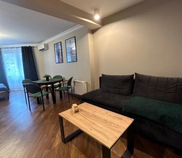 Zielona Gora Apartment | Venus Studio