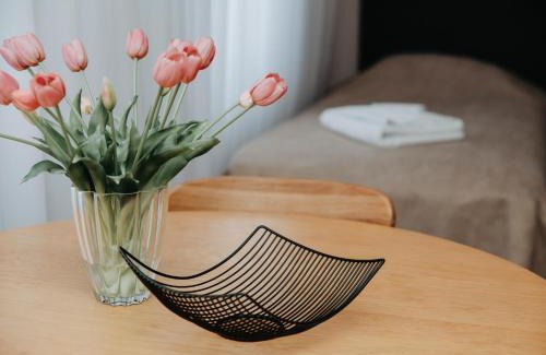 Panevezys Bed & Breakfast | Verslo Klasė-easy to stay