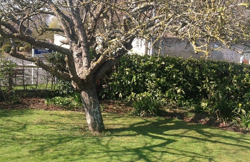 Langrune-sur-Mer House | Very nice renovated house for 10 people, 300 m from the beach