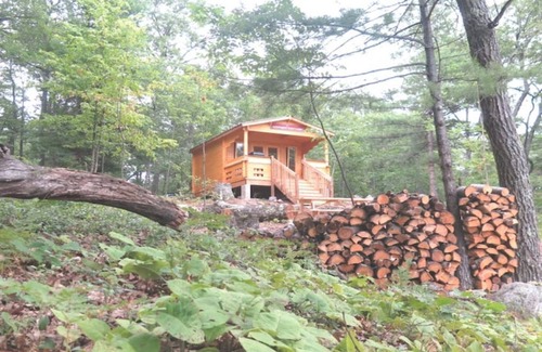 Golden Lake Cabin | Very Private, Secluded, Wildlife, No Neighbors!