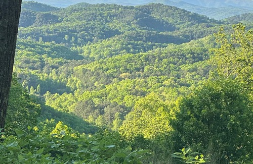 Ranger Cabin | Very quiet mountain cabin in gated Talking Rock Creek Resort.