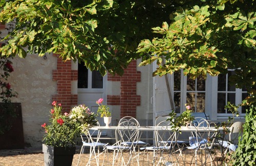 Brain-sur-Allonnes Other | Very spacious GITE 8-12 people in the courtyard of the Château