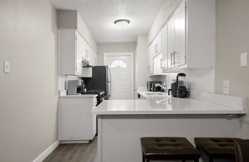 South Manchaca Apartment | Vibrant 1BR Apt 5 min to Downtown and Barton springs!