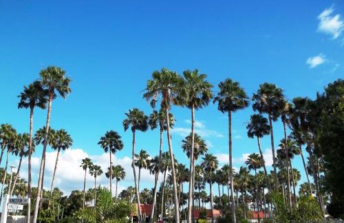 Donna Hotel | Victoria Palms Inn and Suites