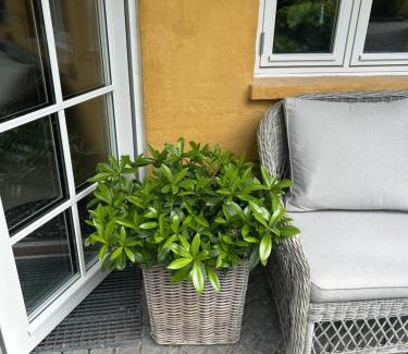 Aalborg Apartment | Vidunderligt hus med gårdhave - midt i centrum Brettevillesgade 16 A