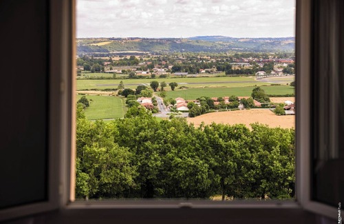 Le Sequestre House | View from Albi - Countryside - Garden