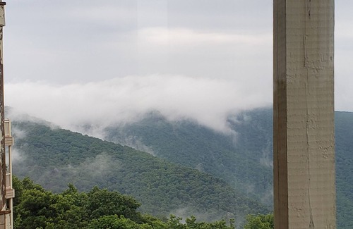 Chestnut Springs Condo | View from the Top