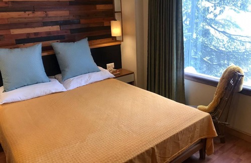 Shimla Apartment | Views from top of Shimla, 600 M from the Mall Road and The Ridge, Drive - in