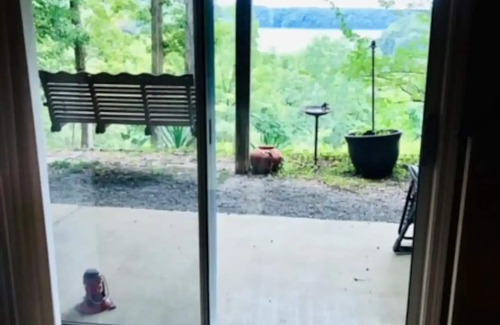 Jamestown Cabin | Views to Die For - Relax on 2 decks + Screen Porch; 1 mile to Pleasant Hill ramp