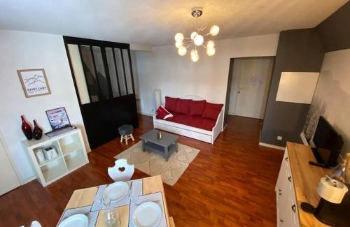 Vignec Apartment | Vignec/Saint-Lary - T2 cosy avec balcon & piscine