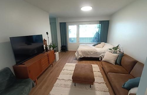 Rovaniemi Apartment | Viihtyisä huoneisto keskustassa