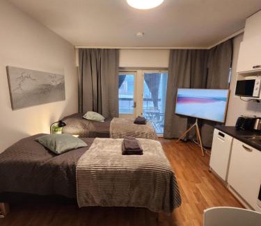 Turku Apartment | Viihtyisä korkealuokkainen, tilava ja parvekkeellinen yksiö Logomolla 1-2hlö