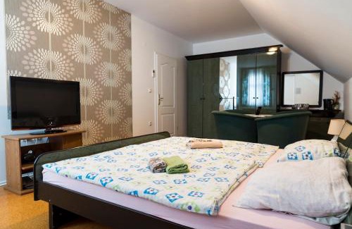 Moravske Toplice House | Vila Šiftar