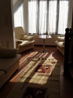 Campulung Moldovenesc Villa | Vila Cody
