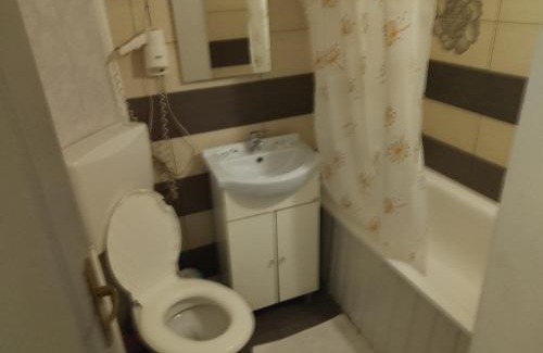 Tirgu Jiu Apartment | VILA DAVISON