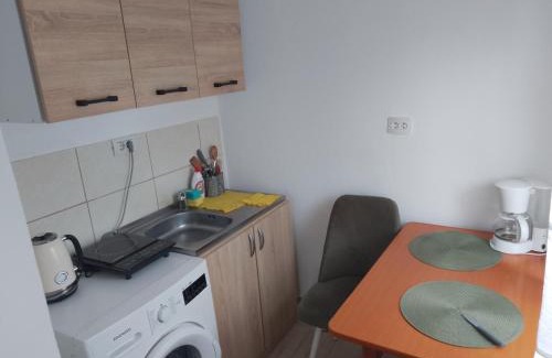 Tirgu Jiu Apartment | VILA DAVISON