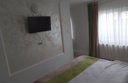 Tirgu Jiu Apartment | VILA DAVISON