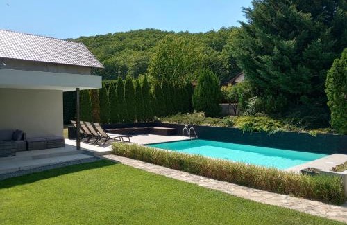 Ighiu Villa | Vila Gosen