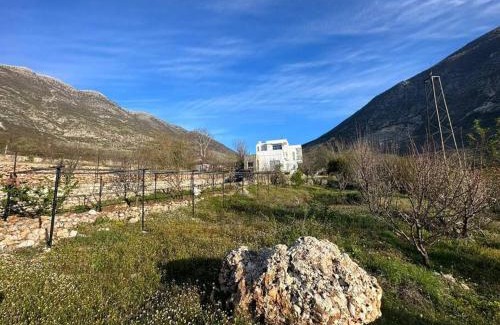 Albania Villa | Vila Hoxha, Mezhgoran