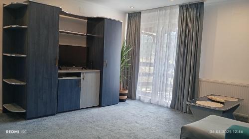 Busteni House | Vila Iulia Busteni