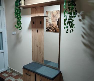 Bor Apartment | Vila Jezerski raj Borsko jezero