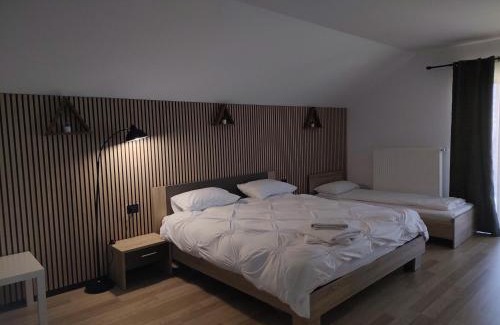 Borsa Villa | Vila Puiu Borsa MM