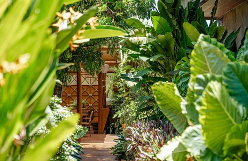 Floresta Velha House | Vila Sal Noronha