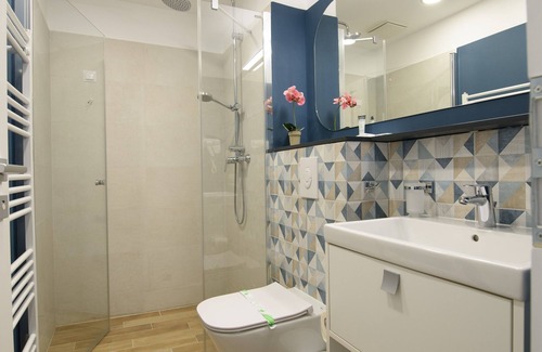 Emanoil Gojdu Hotel | Vila Sarisa