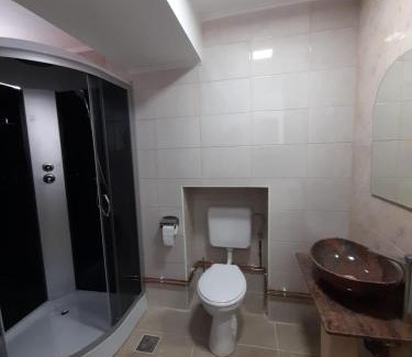 Valiug House | Vilele Birta