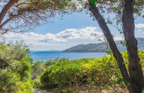 Lacona Villa | Villa Acquarilli