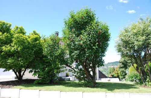 Loerrach House | Villa am Buck Lörrach bei Basel