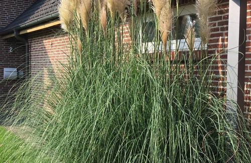 Lemkendorf Apartment | Villa an der Au - Ferienwohnung Boje