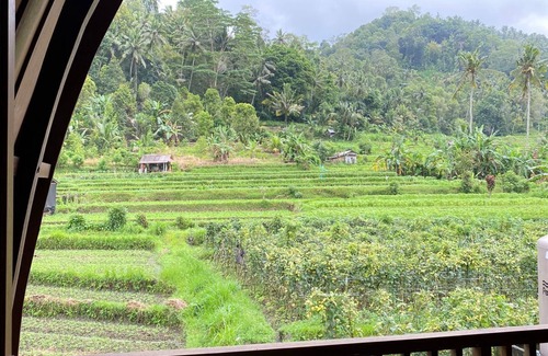 Wisma Kerta Cabin | Villa Anteng with Rice Fields View at Sidemen