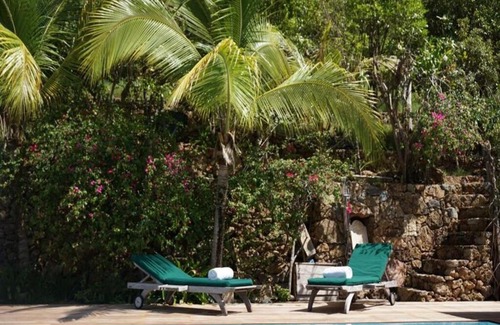 Vitet Villa | Villa Apiano