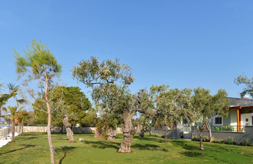 Prinos Villa | Villa Arhondula