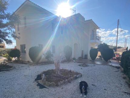 Pissouri Villa | Villa Ariadni