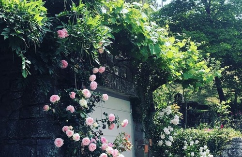 Cortona Cottage | Villa belvedere. Immersa nel verde delle montagne cortonesi