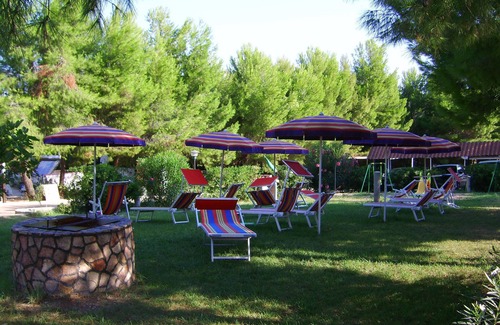 Defensola Apartment | VILLA BILOCALE ORCHIDEA B 1 bedroom, living room with 2 beds and kitchenette