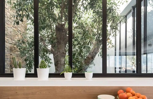 Banyuls-sur-Mer House | Villa Blanca 5* Sea View 🔅 and Mountain